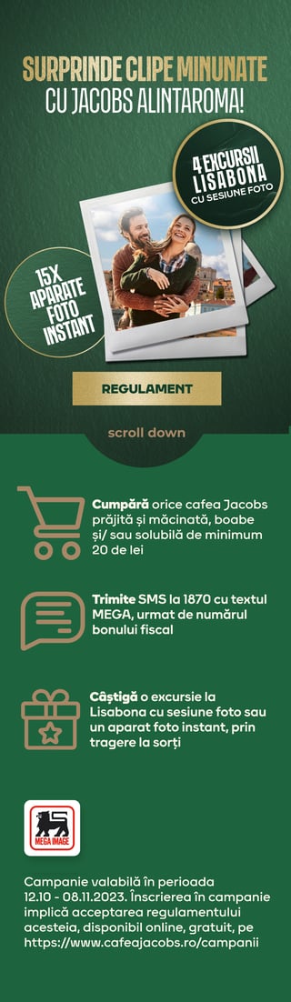 mega banner mobile