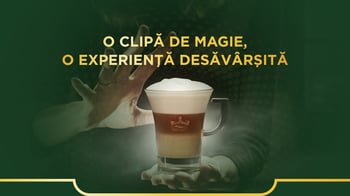 banner experienta desavarsita