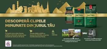 Declinari q1 cocor landscape